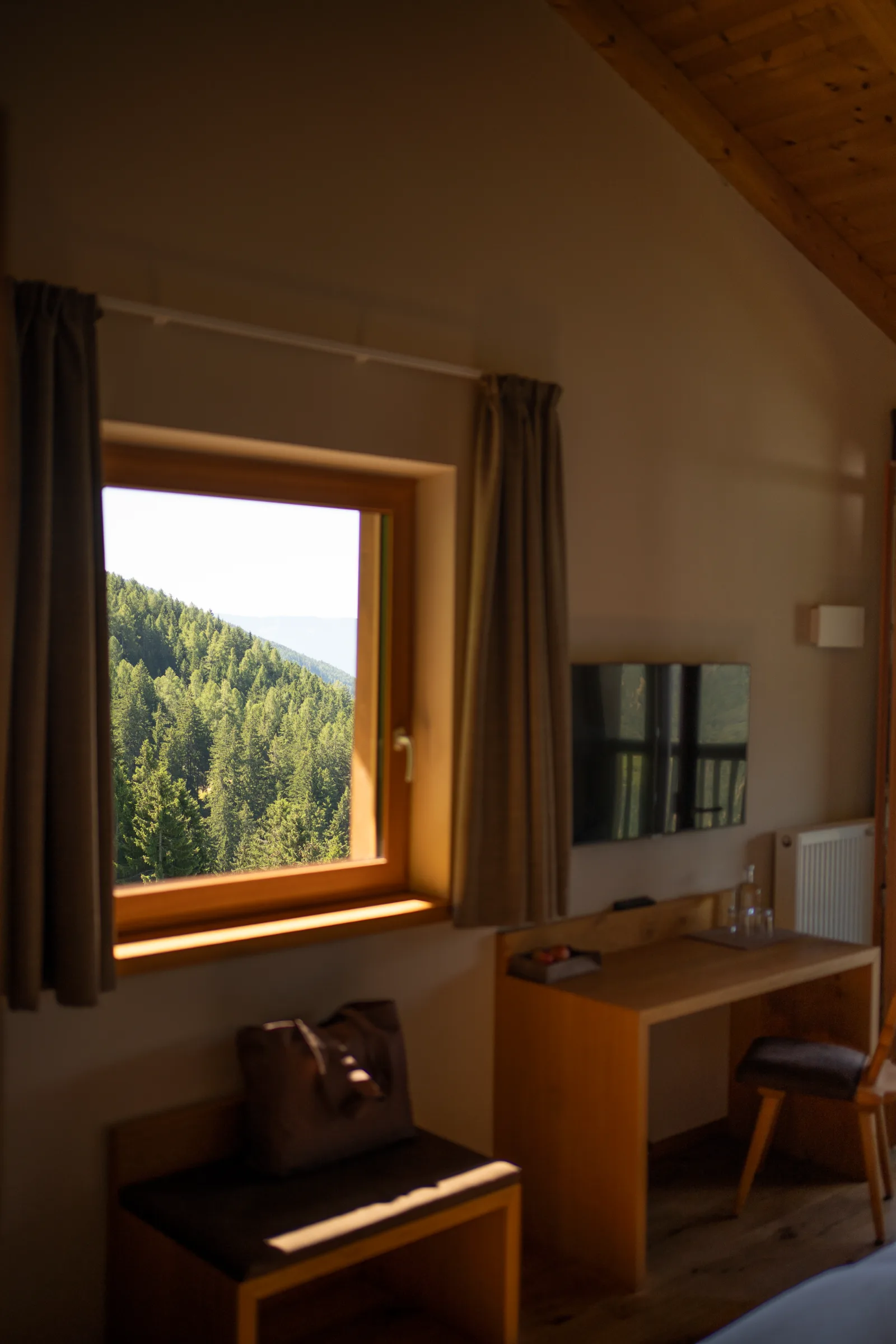 Zimmer mit Waldblick am Abend